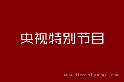 央视特别节目